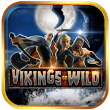 Vikings Go Wild